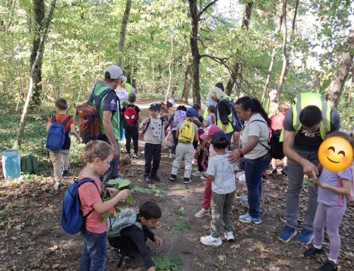 Les CP dans la forêt de Bettant